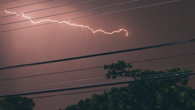 Understanding and Implementing Lightning Protection Systems for Trees